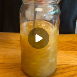 Gingerbug Recipe