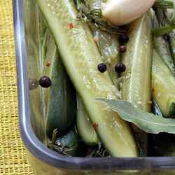 Kosher Dill Pickles