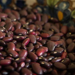 Louisiana Red Beans And Rice From A Vegetarian Perspective