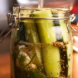 Lacto Fermented Dill Pickles