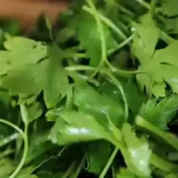 Tabbouleh