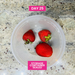 Storing Strawberries