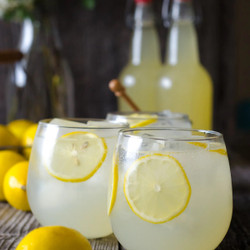 Fermented Lemonade Recipe