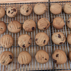Sultana Biscuits (cookies)