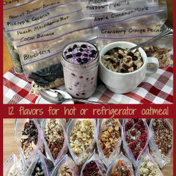 Healthy Instant Oatmeal Packets--for Hot &amp; Refrigerator Oats