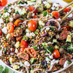 Lentil Salad