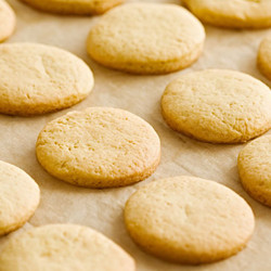 Grandma Ricke's Cookie Recipe