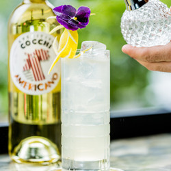 Americano Cocchi