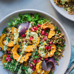 Warm Lentil Salad With Delicata Squash And Cilantro Cashew Cream