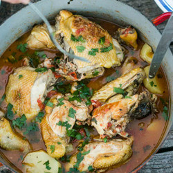 Provencal Chicken With Pastis