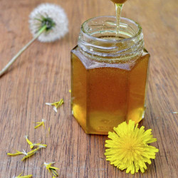 Vegan Dandelion Honey