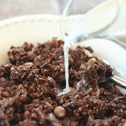 Chocolate Peanut Granola