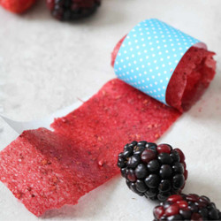 Homemade Fruit Roll-ups