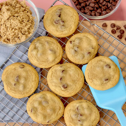 The Perfect Chocolate Chip Cookies