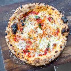 Neapolitan Cheese Pizza