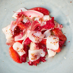 Scallop Crudo With Blood Orange And Pink Radicchio