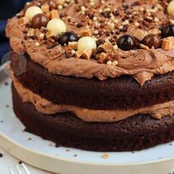 Chocolate Fudge Cake With The Best Chocolate Frosting Ever!