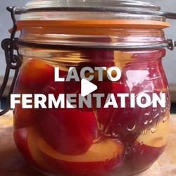 2% Salt Solution Fermentation