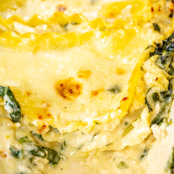 White Chicken Lasagna