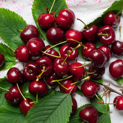 Sweet Cherry Focaccia