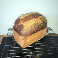 White Bread