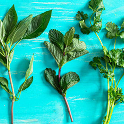 This Simple Trick Saves Wilted Herbs And Upgrades Any Dish