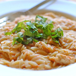 Creamy Orzo With Browned Chicken