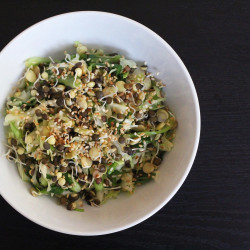 Sprouted Lentil, Cabbage, And Celery Slaw