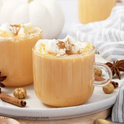 Pumpkin Spice Milk Recipe