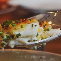 Blue Crab Gratin
