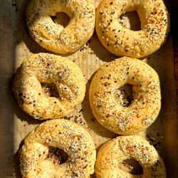 The Best Gluten-free Bagels (with Protein!)