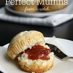Plain Muffin Recipe