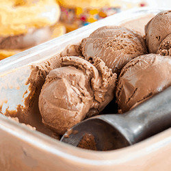 Double Chocolate Ice Cream