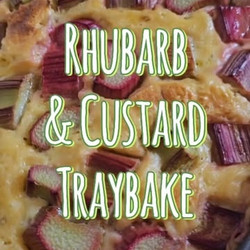 Rhubarb Cake With Custard