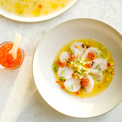 Scallop Crudo