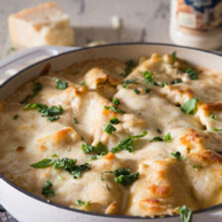 Easy Alfredo Chicken Lasagna Rolls