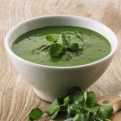 Watercress Soup