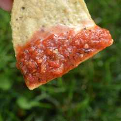 The Best Salsa Recipe
