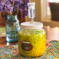 Golden Beet Sauerkraut