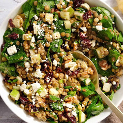 Lentil And Cranberry Salad