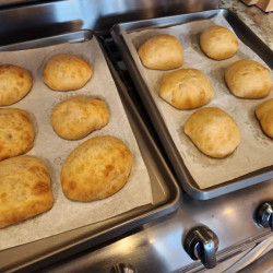 Discard Ciabatta Rolls