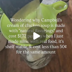 Cream Of Anything Chicken Soup Bulk Base Mix