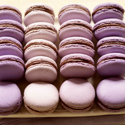 Parisian Macarons