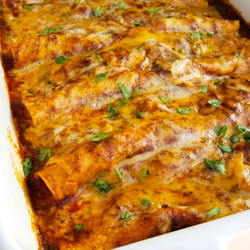 Shredded Chicken Enchiladas