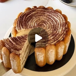 Charlotte Saveur Tiramisu