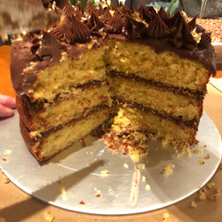Orange and Chocolate Ganache Cake