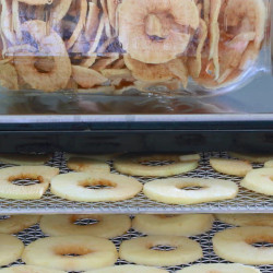 Dehydrating Apples | Easy Method