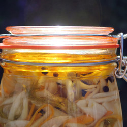 Pickled Fennel