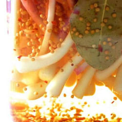 Pickled Ramps Recipe