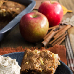 Apple Spice Wacky Cake